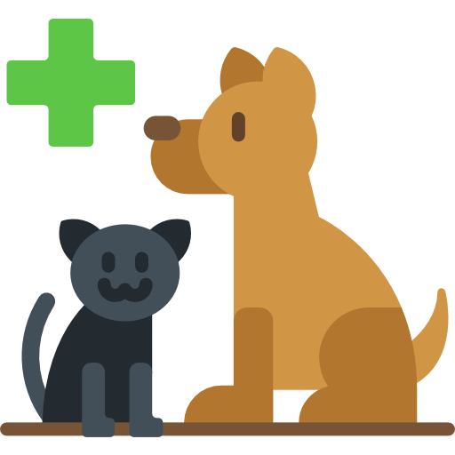 Animals and Pets